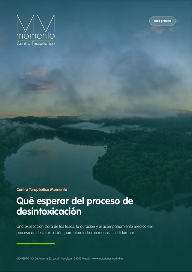 Portada de la guía: Qué esperar del proceso de desintoxicación