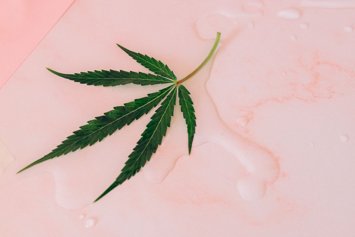 Cannabis medicinal vs. uso recreativo: dónde está el límite del riesgo
